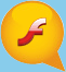 Flash